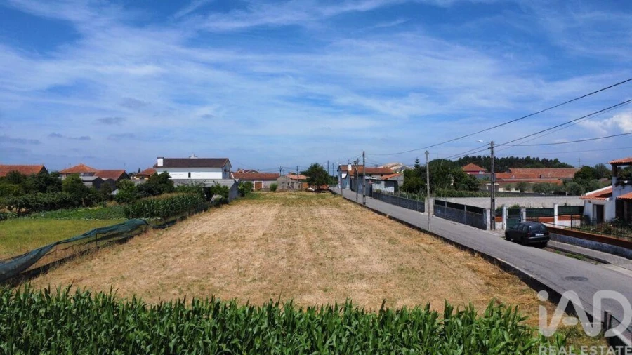 Terreno para Venda em Glória e Vera Cruz Foto 5