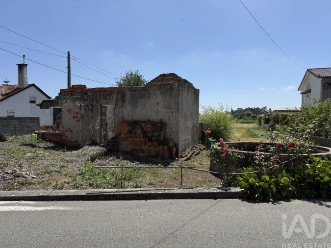 Terreno para Venda em Glória e Vera Cruz Foto 10