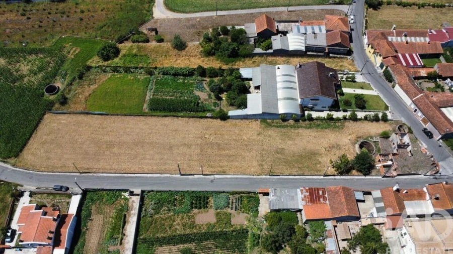 Terreno para Venda em Glória e Vera Cruz Foto 4
