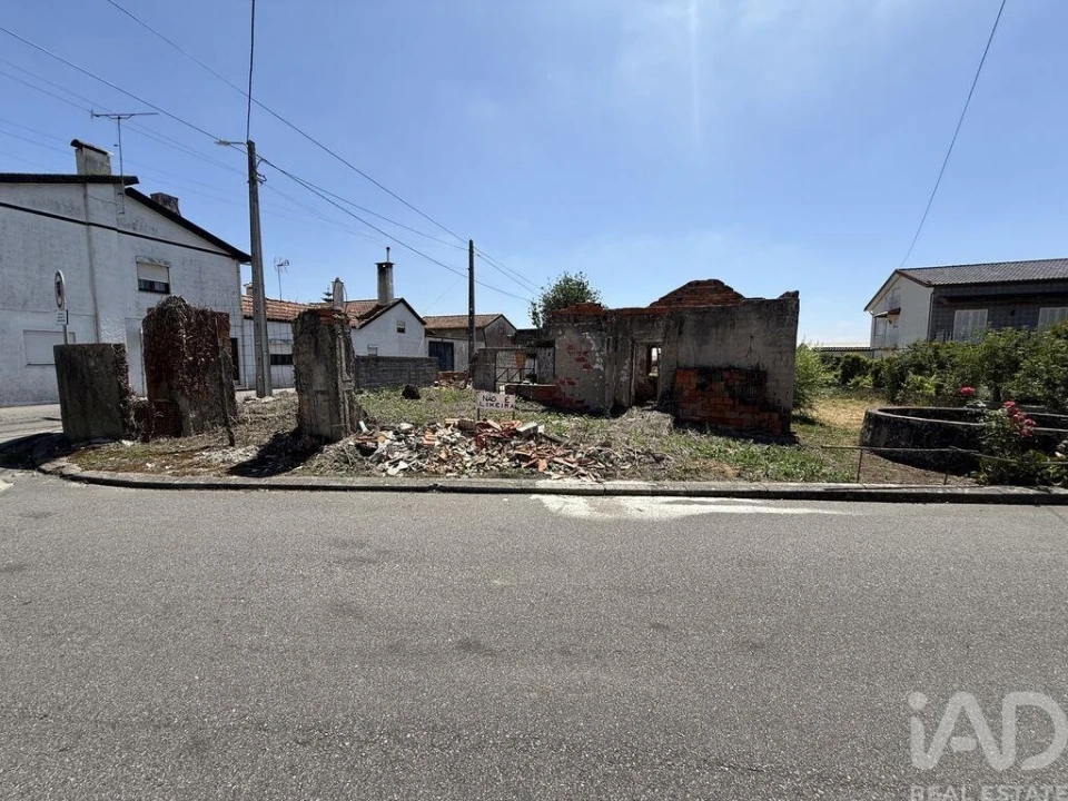 Terreno para Venda em Glória e Vera Cruz Foto 7