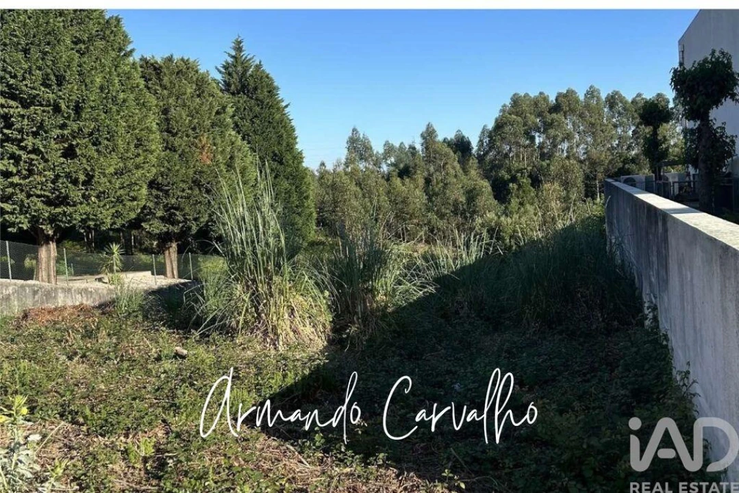 Terreno para Venda em Santa Maria da Feira, Travanca, Sanfins e Espargo Foto 4