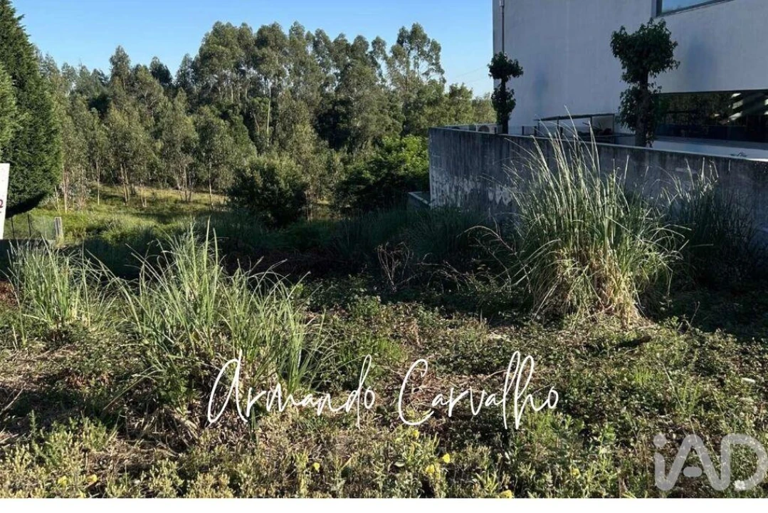 Terreno para Venda em Santa Maria da Feira, Travanca, Sanfins e Espargo Foto 3