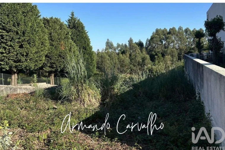 Terreno para Venda em Santa Maria da Feira, Travanca, Sanfins e Espargo Foto 4