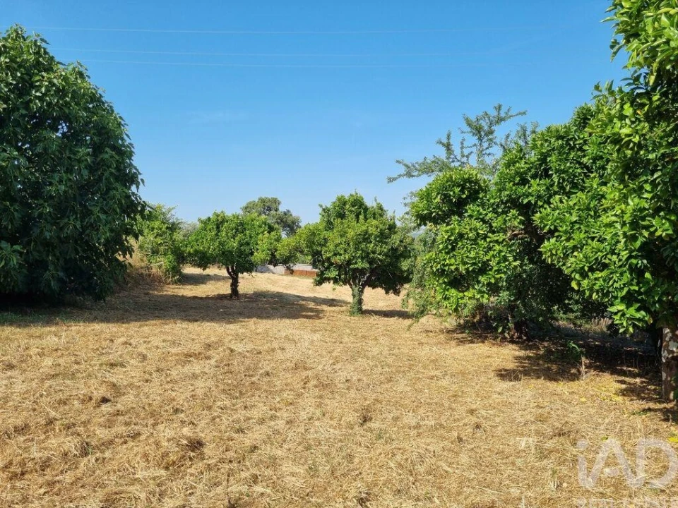 Terreno para Venda em Poiares (Santo Andre) Foto 22