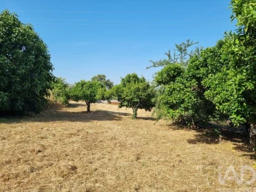 Terreno para Venda em Poiares (Santo Andre)