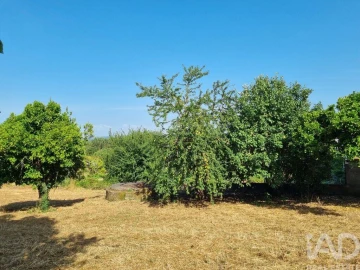 Terreno para Venda em Poiares (Santo Andre)