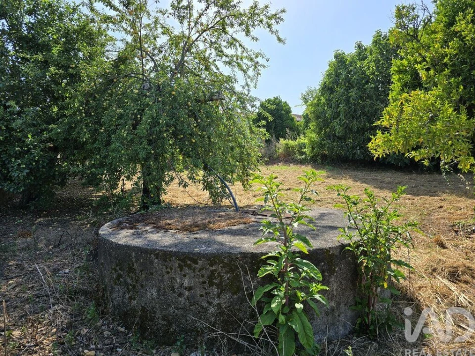 Terreno para Venda em Poiares (Santo Andre) Foto 25