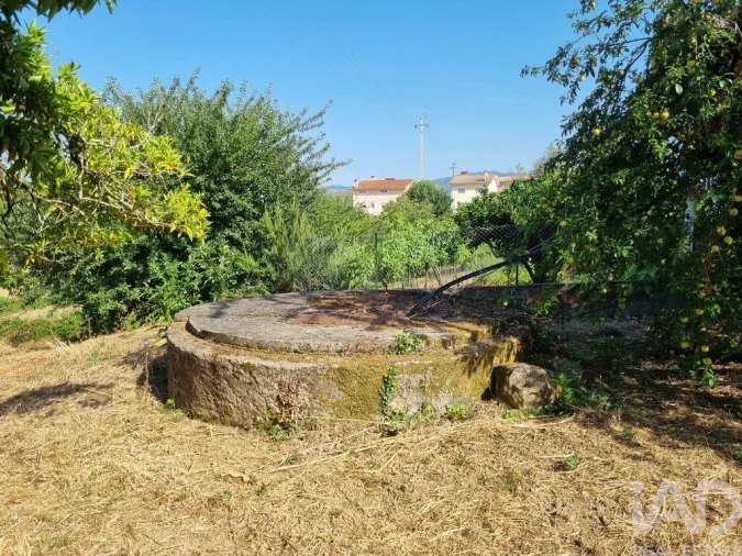 Terreno para Venda em Poiares (Santo Andre) Foto 26