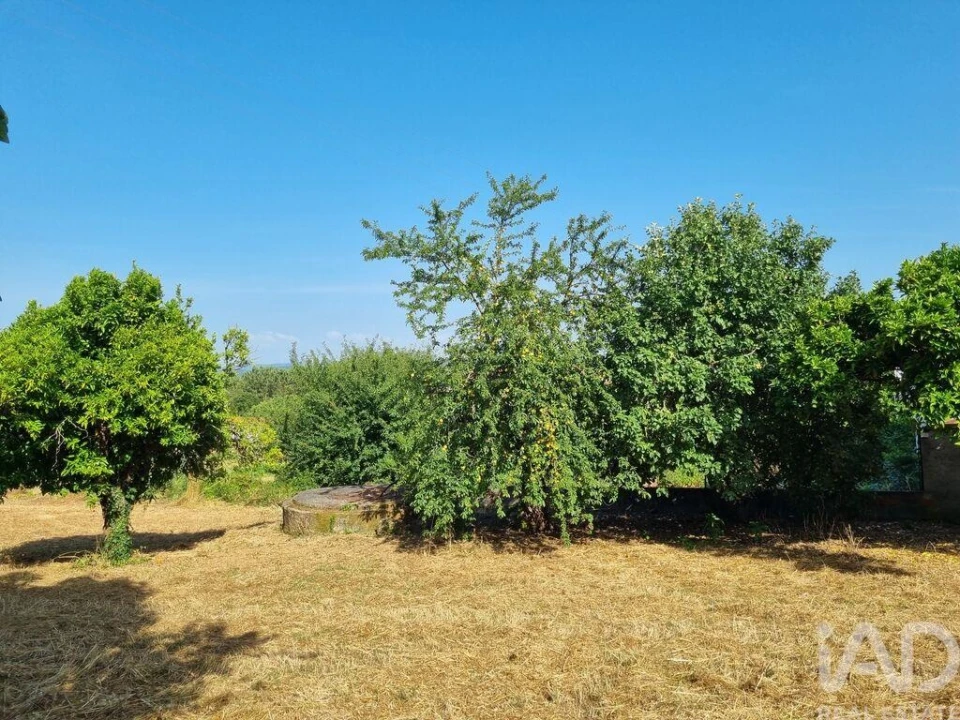 Terreno para Venda em Poiares (Santo Andre) Foto 24