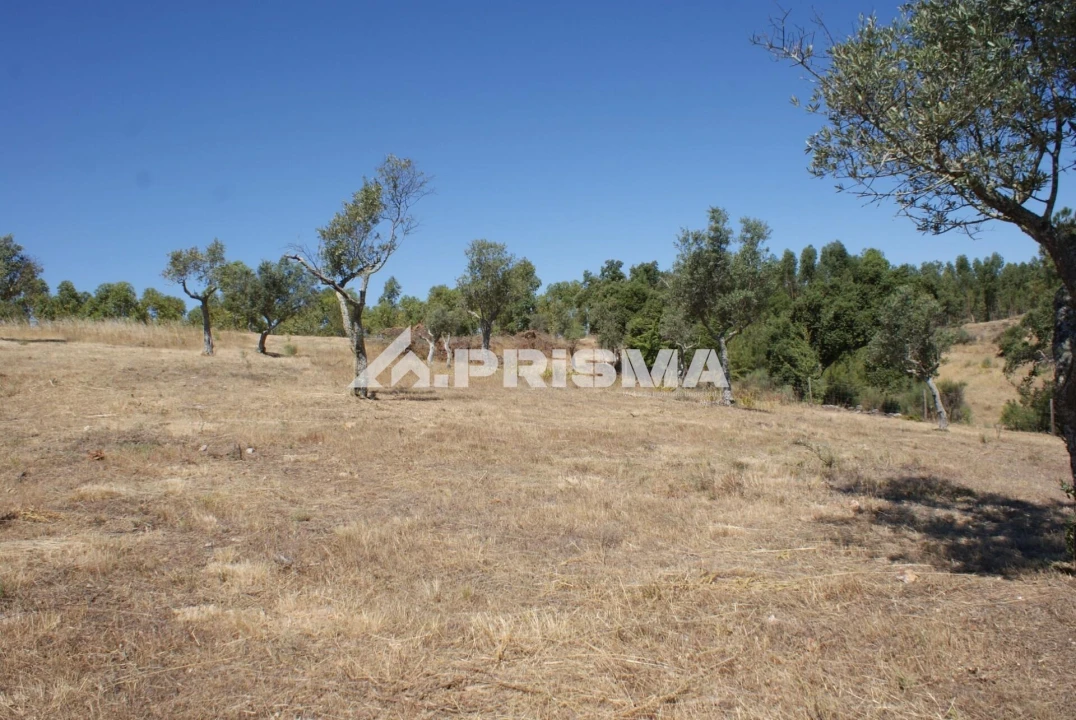 Terreno para Venda em Perais Foto 13