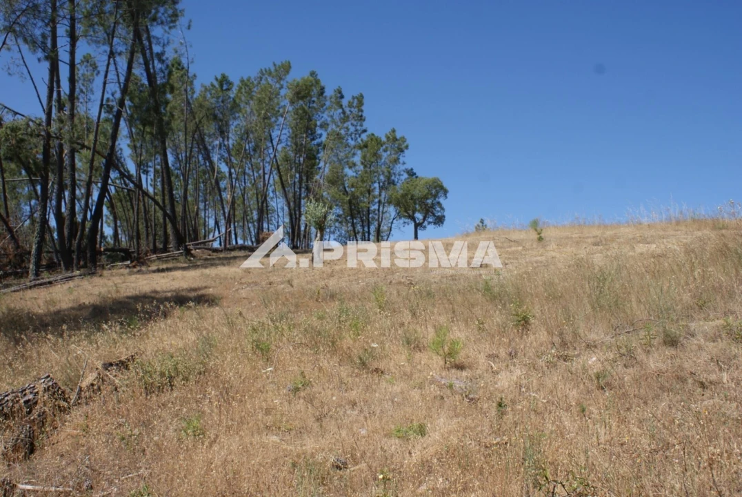 Terreno para Venda em Perais Foto 17