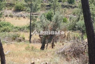 Terreno para Venda em Perais