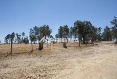 Terreno para Venda em Perais