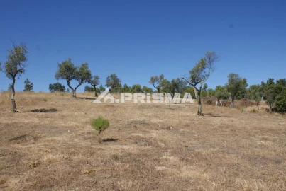 Terreno para Venda em Perais