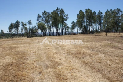 Terreno para Venda em Perais