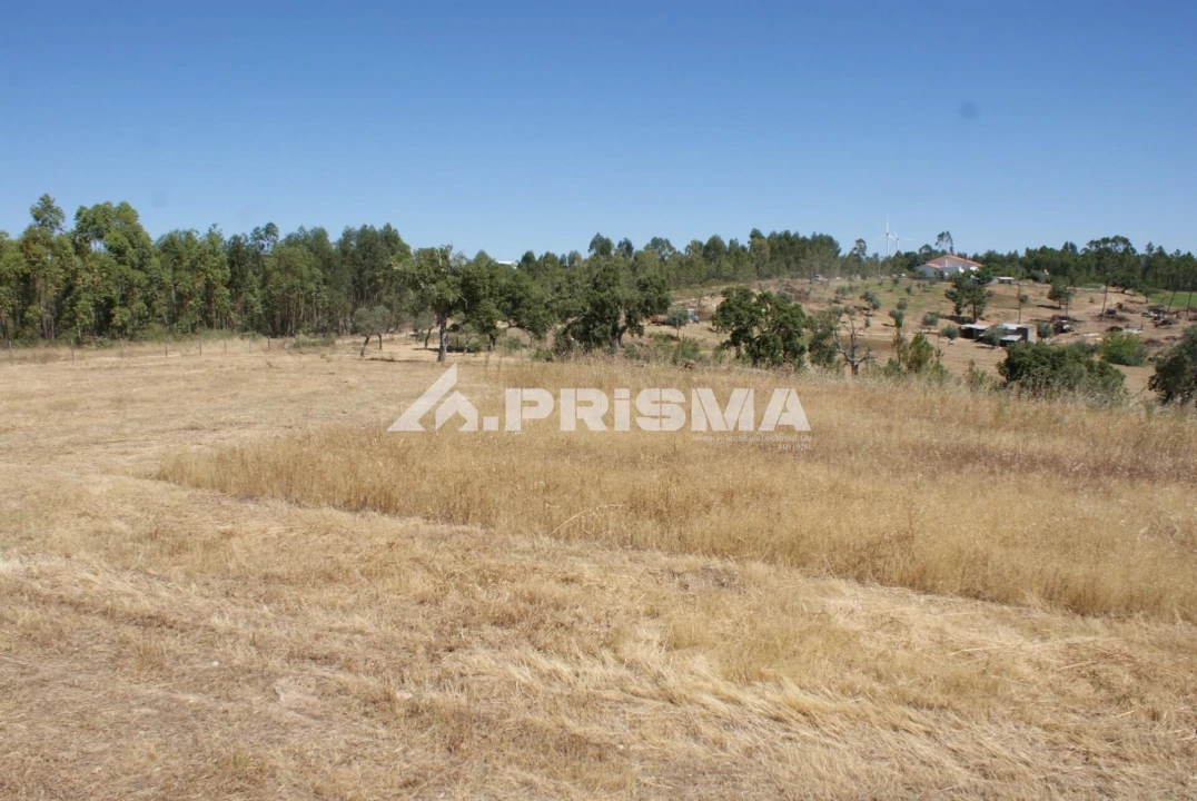 Terreno para Venda em Perais Foto 7