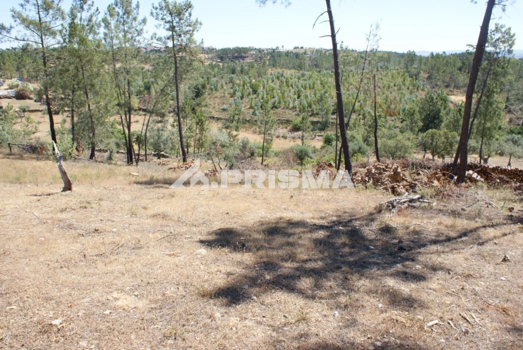 Terreno para Venda em Perais Foto 11