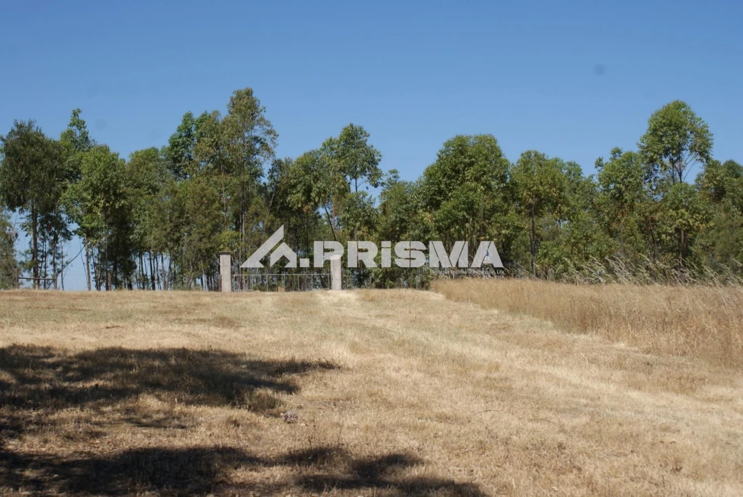 Terreno para Venda em Perais Foto 19