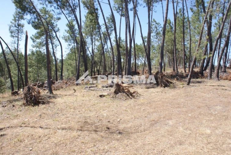 Terreno para Venda em Perais Foto 10