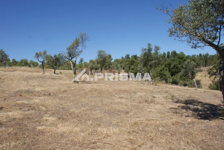Terreno para Venda em Perais Foto 13
