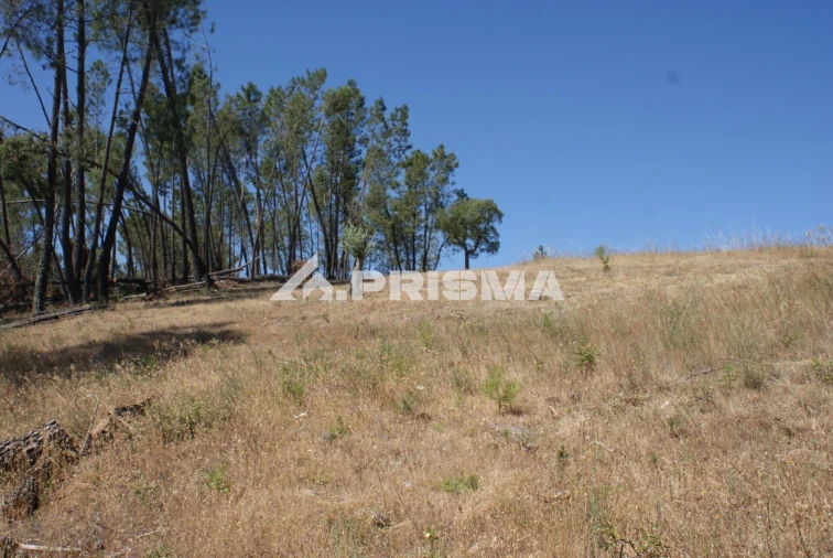 Terreno para Venda em Perais Foto 17