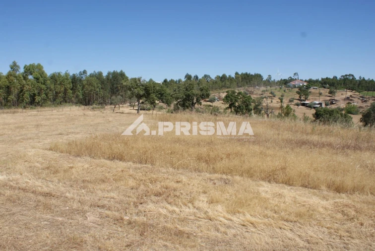 Terreno para Venda em Perais Foto 7