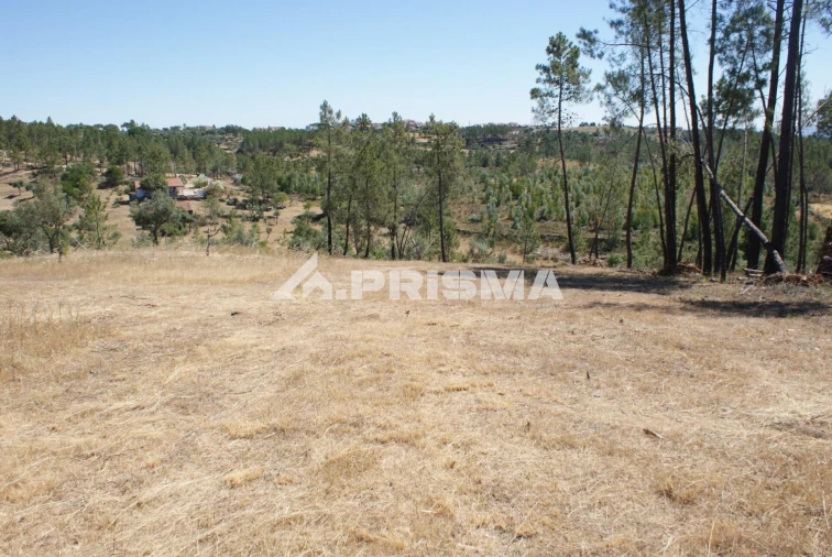 Terreno para Venda em Perais Foto 9