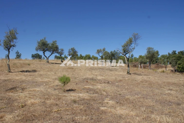 Terreno para Venda em Perais Foto 12