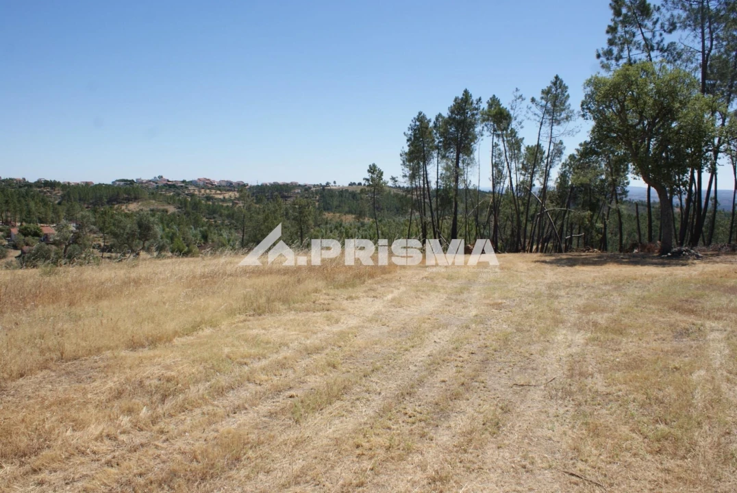 Terreno para Venda em Perais Foto 6