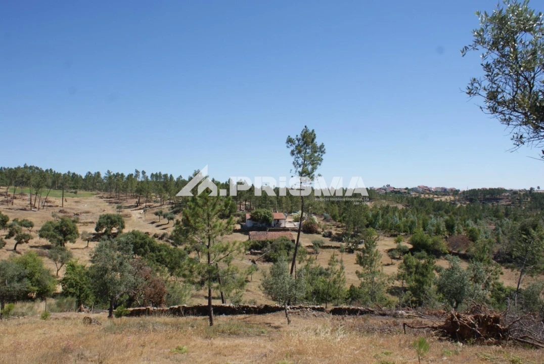 Terreno para Venda em Perais Foto 14