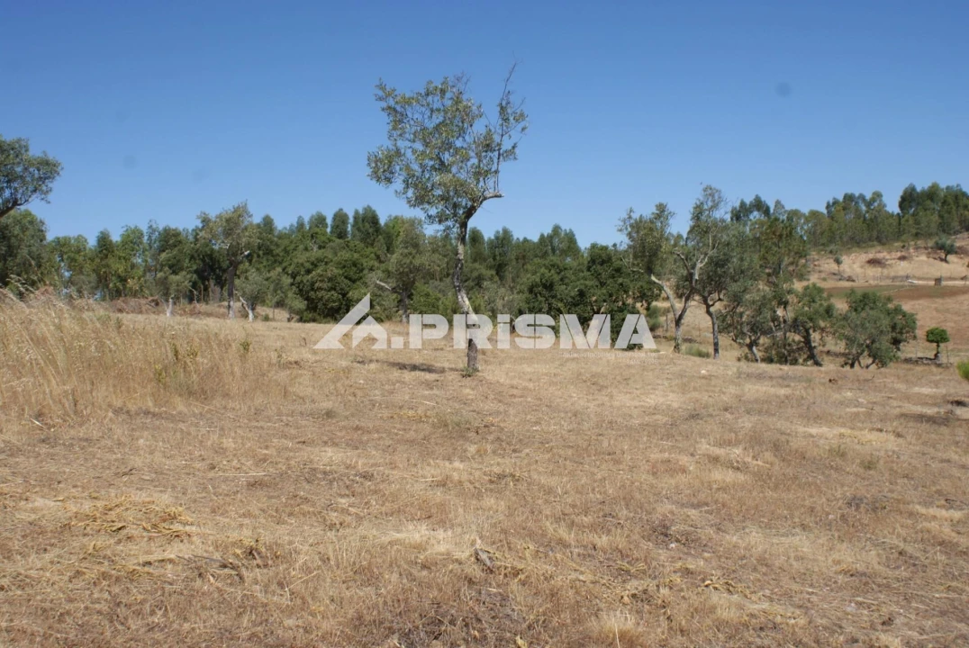 Terreno para Venda em Perais Foto 18