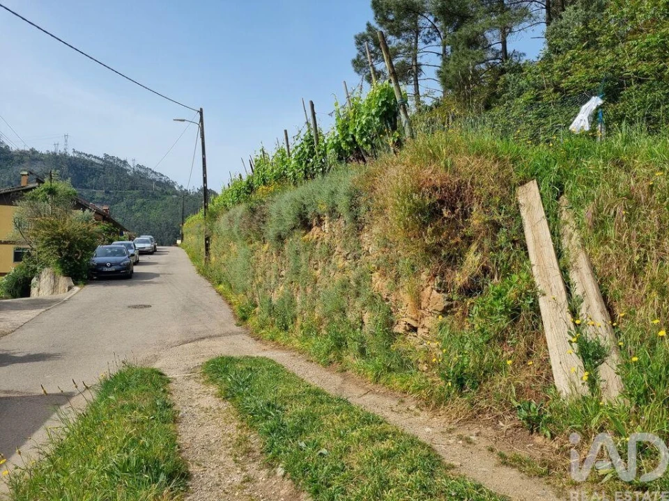 Terreno para Venda em Ceira Foto 19