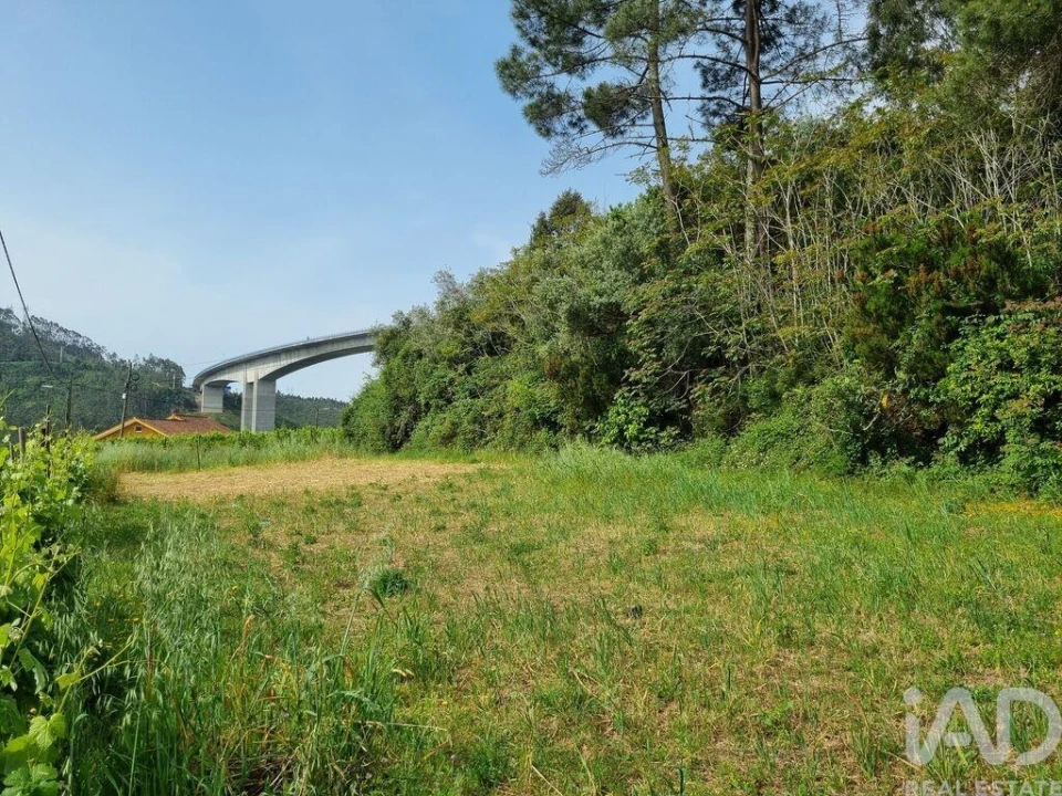 Terreno para Venda em Ceira Foto 24