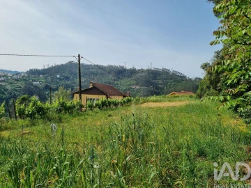 Terreno para Venda em Ceira