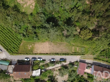 Terreno para Venda em Ceira