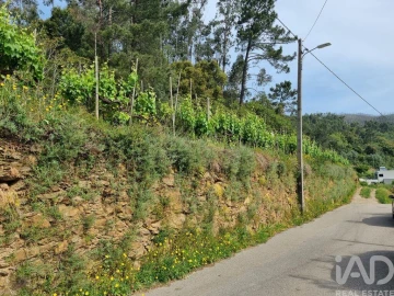 Terreno para Venda em Ceira