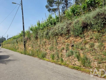 Terreno para Venda em Ceira