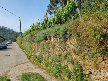 Terreno para Venda em Ceira