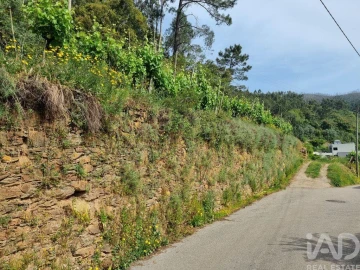 Terreno para Venda em Ceira