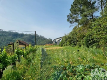 Terreno para Venda em Ceira