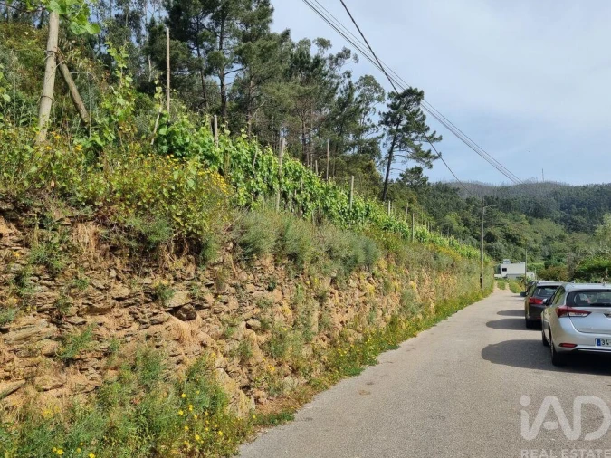 Terreno para Venda em Ceira Foto 12