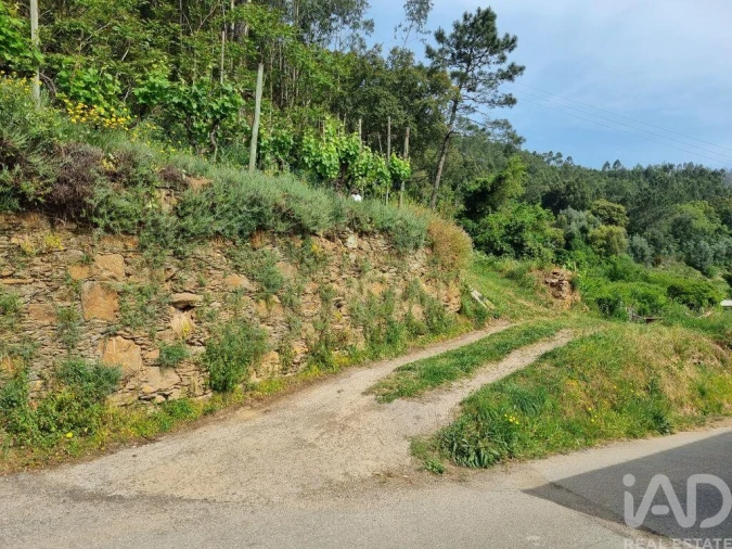 Terreno para Venda em Ceira Foto 17
