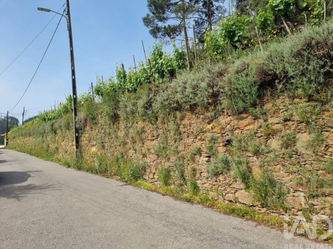 Terreno para Venda em Ceira Foto 16