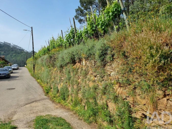 Terreno para Venda em Ceira Foto 18
