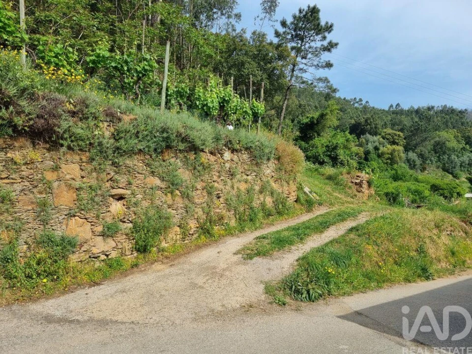 Terreno para Venda em Ceira Foto 17