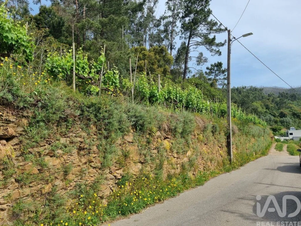 Terreno para Venda em Ceira Foto 13
