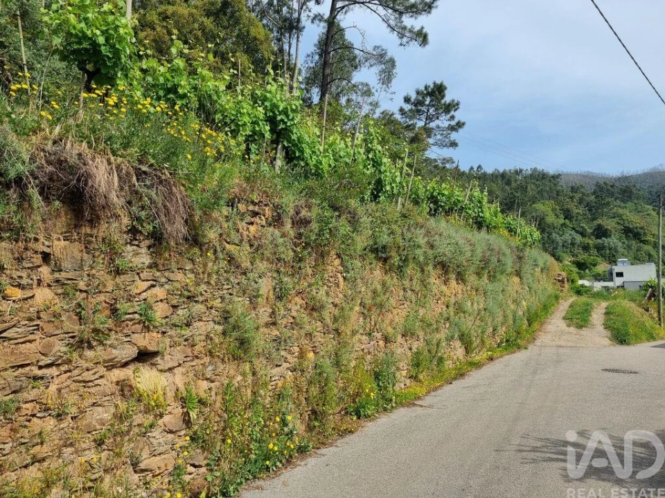 Terreno para Venda em Ceira Foto 14