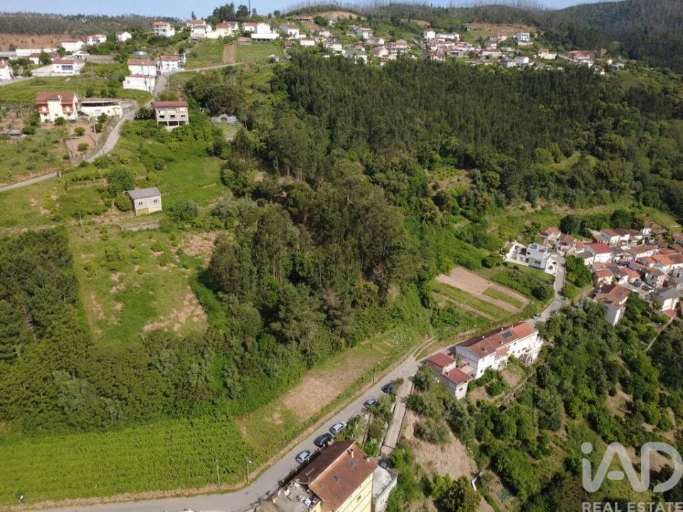 Terreno para Venda em Ceira Foto 10