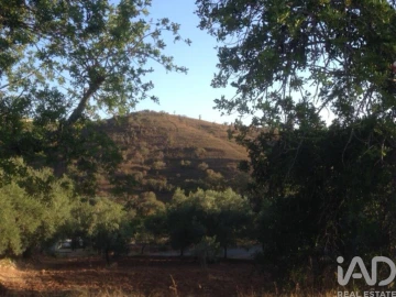 Terreno para Venda em Santa Catarina da Fonte do Bispo