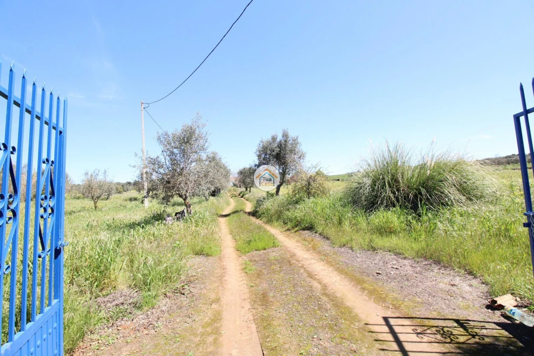 Quinta T3 para Venda em Terrugem e Vila Boim Foto 4
